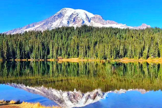 Mount Rainier National Park Day Tour from Seattle - Key points to know before you book