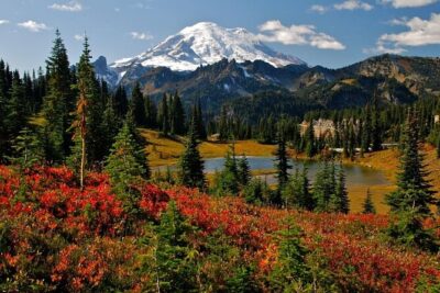 Mount Rainier National Park Day Tour from Seattle