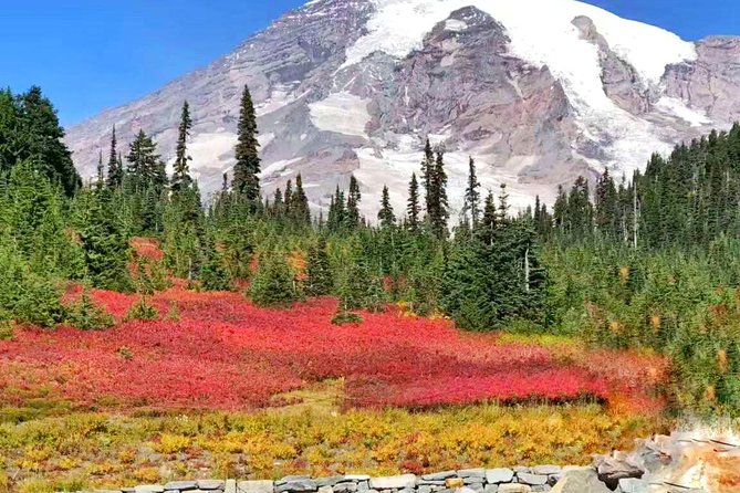 Mount Rainier National Park Day Tour from Seattle - Narada Falls requires a short but steep walk
