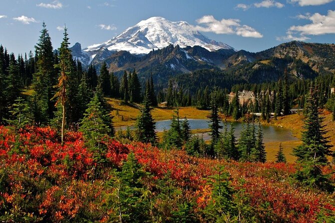 Mount Rainier National Park Day Tour from Seattle - Longmire Museum gives the day some context