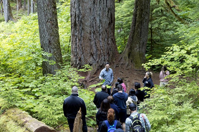 Mt. Rainier National Park Highlights Tour - Christine Falls and the stone bridge view
