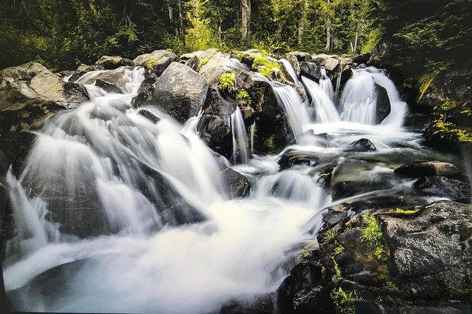 Mt. Rainier National Park Highlights Tour - Narada Falls and the Nisqually River