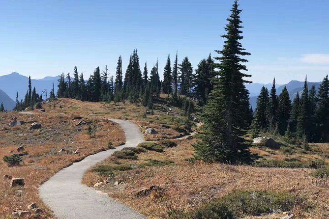 Mt Rainier National Park Small Group Day Tour from Seattle 2CanGo - Key Points About This Mount Rainier Day Trip