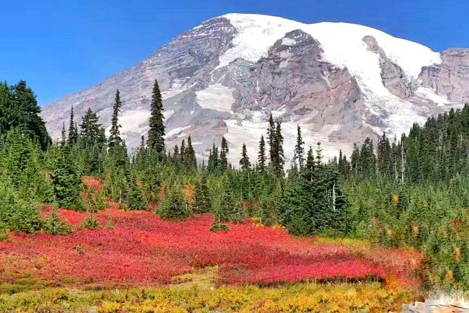 Mt Rainier National Park Small Group Day Tour from Seattle 2CanGo - Reflection Lakes Depends on Calm Weather