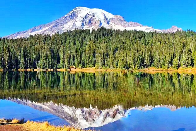 Mt Rainier National Park Small Group Day Tour from Seattle 2CanGo - Winter Brings Snow, Flexibility, and Fewer Stops