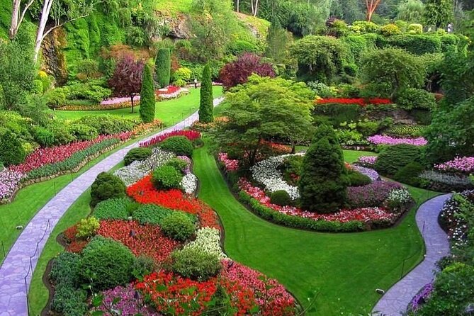 Mtirala National Park & Botanical Garden / Tour From Batumi - Driving to Batumi Botanical Garden