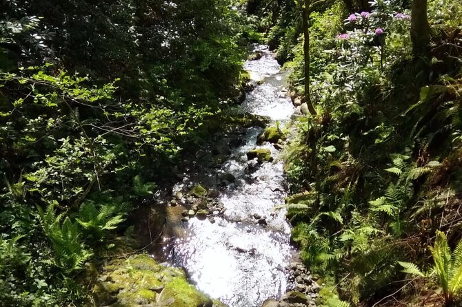 Mtirala National Park & Botanical Garden / Tour From Batumi - Is $69 a fair price for a private half-day?