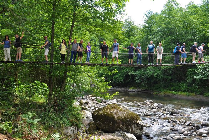 Mtirala National Park Tour - Crossing the extreme footbridge