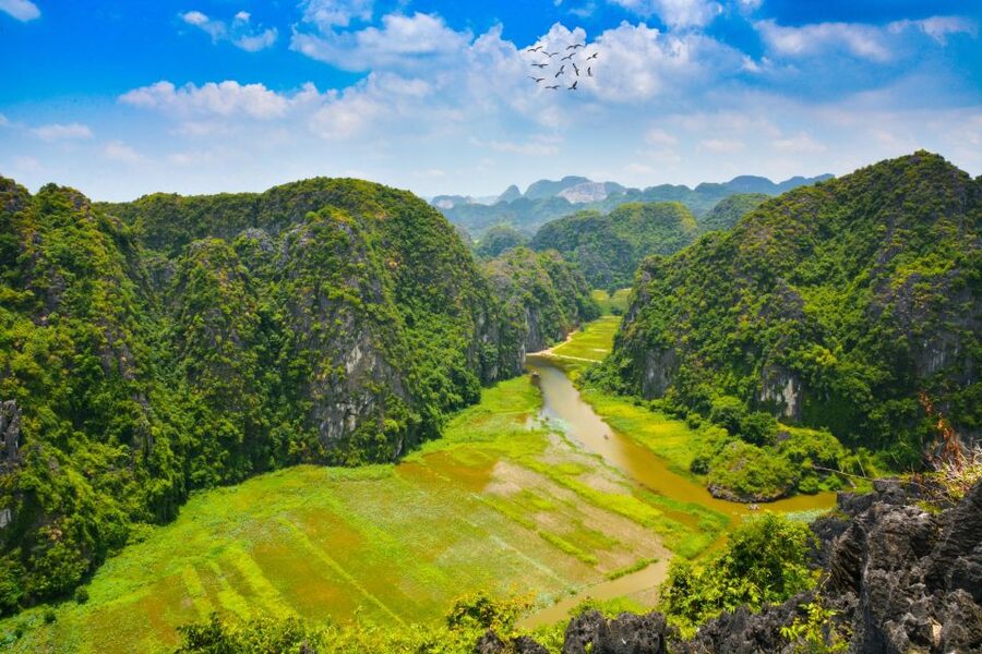 Mua Caves, Tam Coc, and Cuc Phuong National Park 2-Day Tour - Day one begins with Hoa Lu and the Dinh King Temple