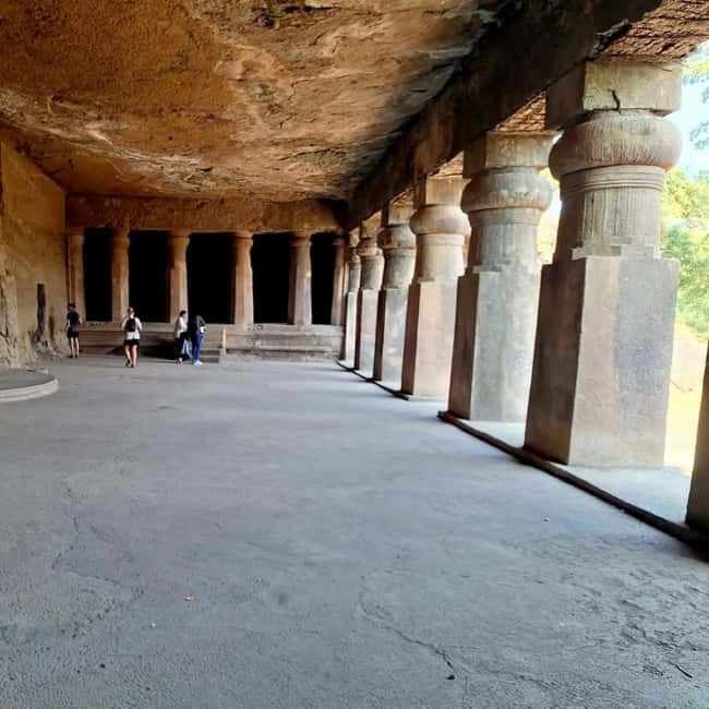 Mumbai: Sanjay Gandhi National Park, Pagoda, & Lion Safari - Sanjay Gandhi National Park and the safari question