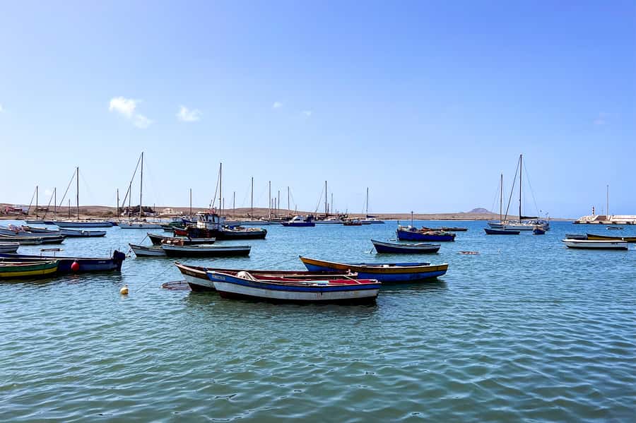 Murdeira: Sal Island Nature Reserve and Fishing Village Tour - Shark Bay and the lemon shark encounter