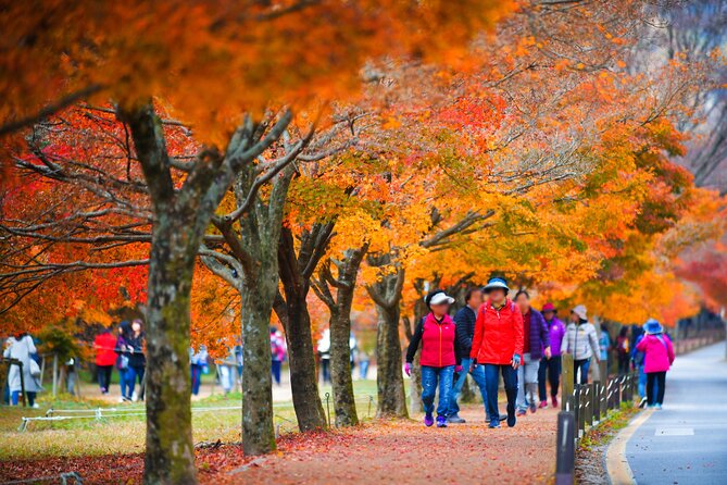 Naejangsan National Park Autumn Foliage One Day Tour from Busan - Why Naejangsan is worth the long ride from Busan