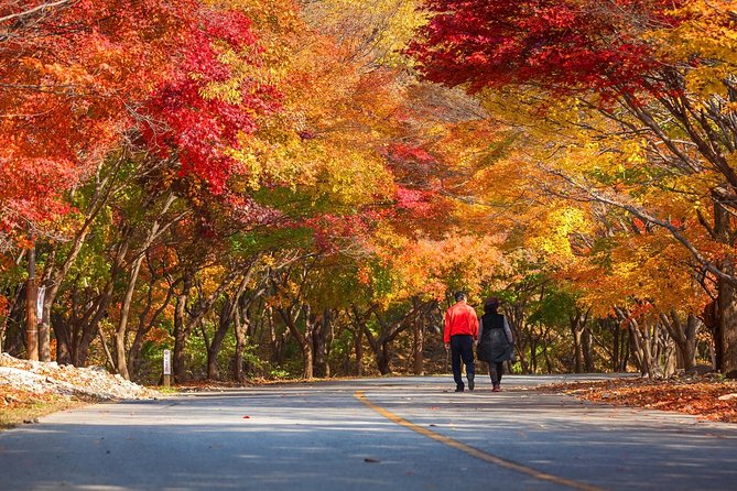 Naejangsan National Park Autumn Foliage One Day Tour from Busan - Lunch and free time at the right pace