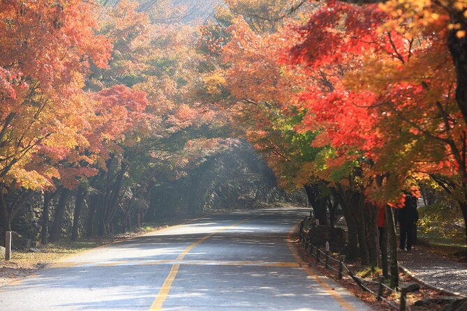 Naejangsan National Park Autumn Foliage One Day Tour from Busan - How much value do you get for $62?