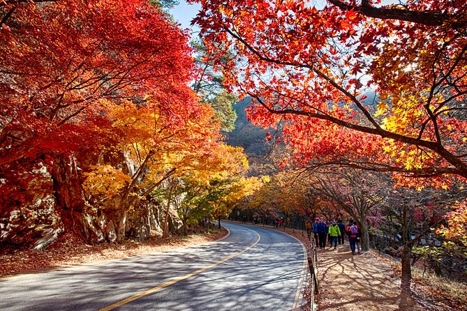 Naejangsan National Park Autumn Foliage One Day Tour from Busan - Foliage timing can make or break the day
