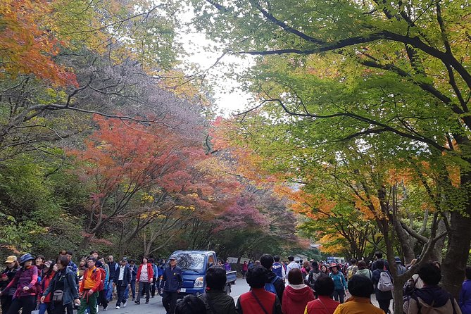 Naejangsan National Park Autumn Foliage One Day Tour from Busan - The journey into the park