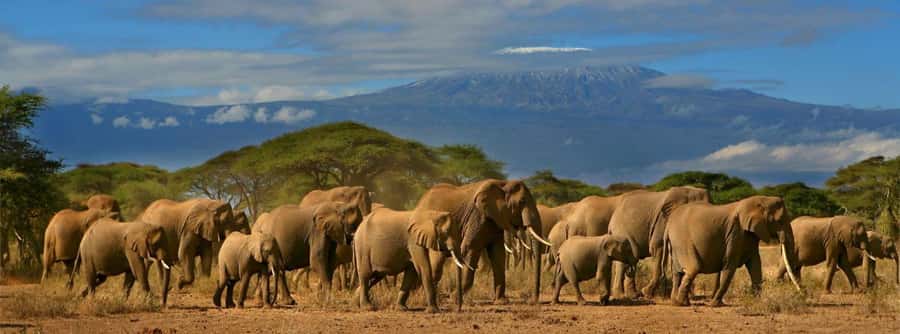 Nairobi: Amboseli National Park Day Trip with Masai Village - Kilimanjaro views depend on the weather