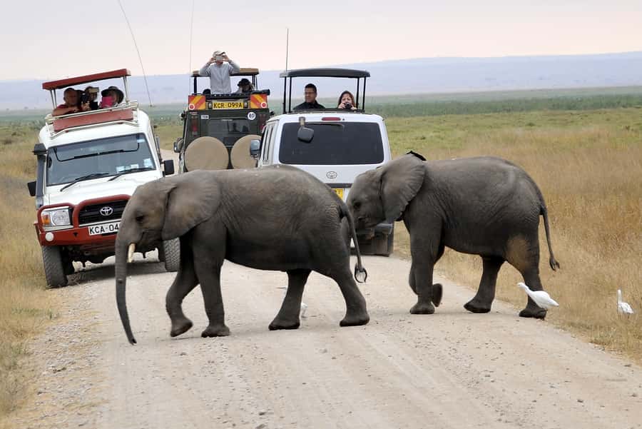 Nairobi: Amboseli National Park Day Trip with Masai Village - Observation Hill gives you a break from the van