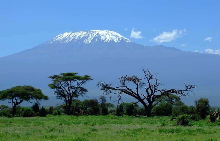 Nairobi: Amboseli National Park Tour & Maasai Village Visit - Key points to know before booking