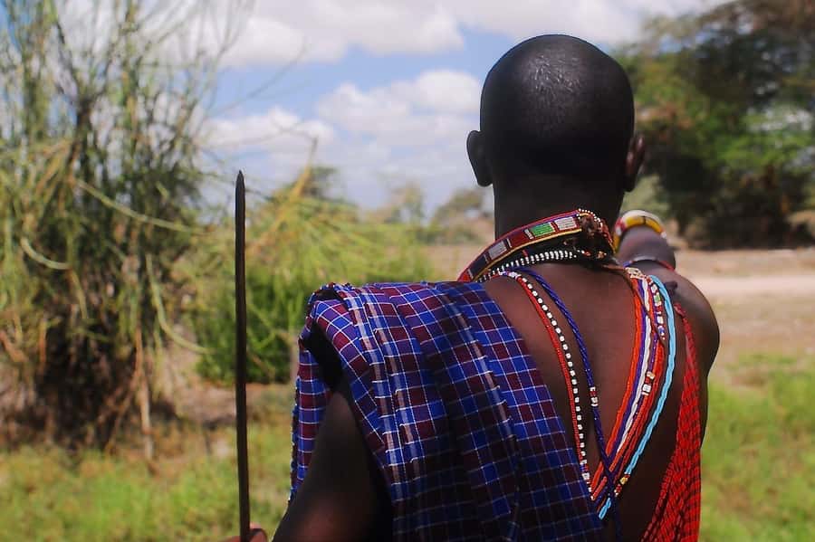 Nairobi: Amboseli National Park Tour & Maasai Village Visit - The morning wildlife drive through plains and marshes
