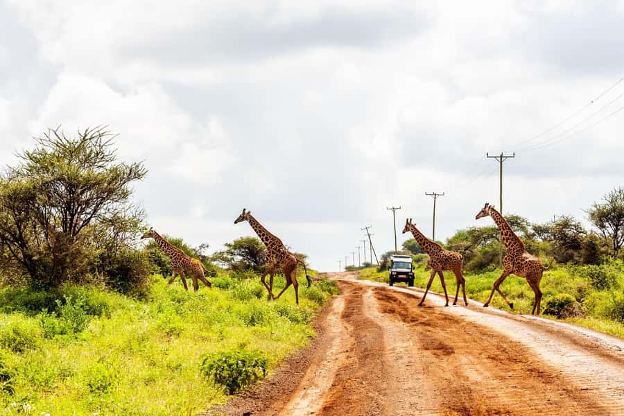 Nairobi: Day Tour to Amboseli National Park & Maasai Village - The long road back to Nairobi