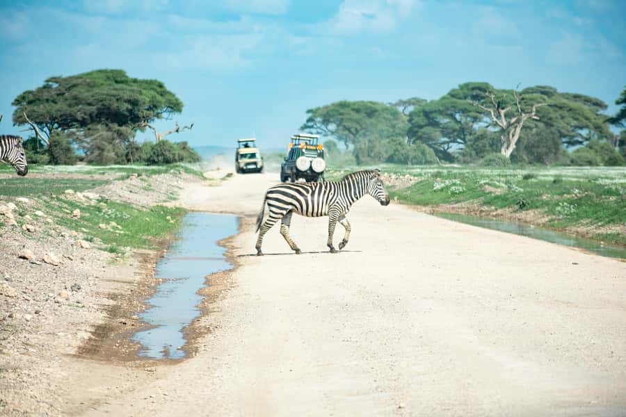 Nairobi: Day Tour to Amboseli National Park & Maasai Village - Final call: is it worth booking?