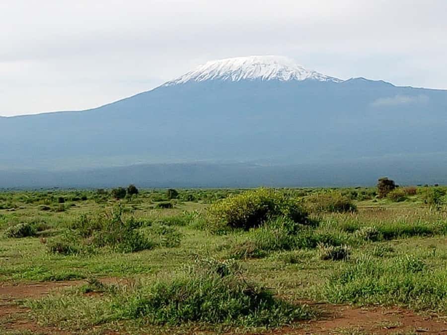Nairobi: Day Trip to Amboseli National Park - Entering Amboseli and starting the first game drive