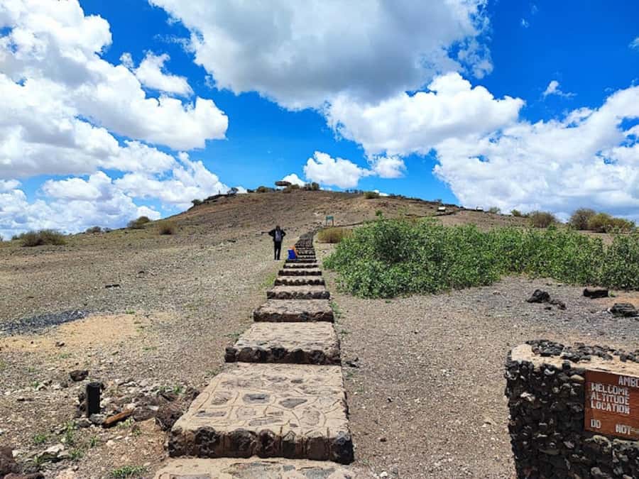 Nairobi: Day Trip to Amboseli National Park - Picnic lunch or a lodge meal