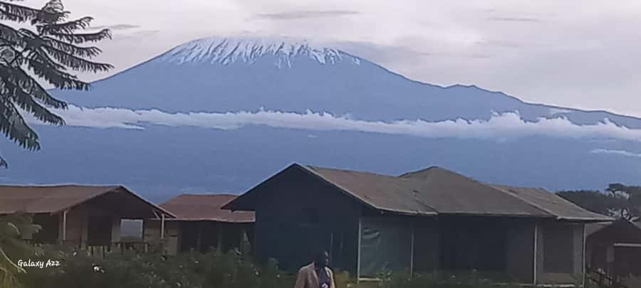 Nairobi:Day trip to Amboseli National park & Maasai village - Birds, zebras, giraffes, and the limits of a one-day safari