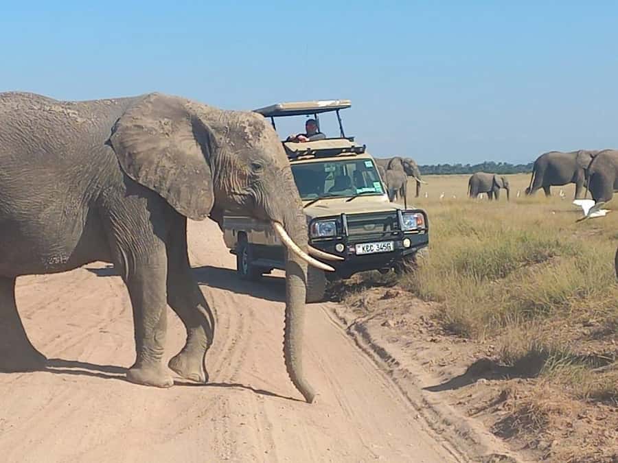 Nairobi:Day trip to Amboseli National park & Maasai village - Leaving Nairobi in a pop-up-roof safari van