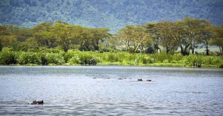 Nairobi:Group Hell's Gate National Park & Lake Naivasha Tour - Why this day trip works so well