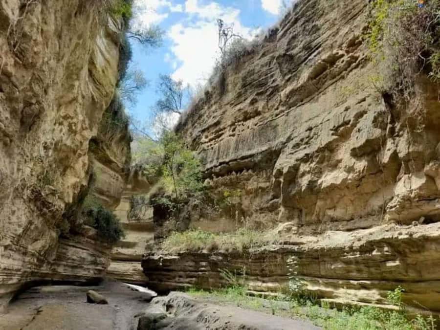 Nairobi:Group Hell's Gate National Park & Lake Naivasha Tour - The guide and vehicle can shape the day