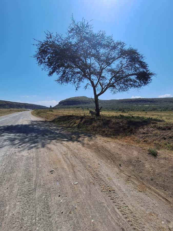 Nairobi: Lake Naivasha & Hell’s Gate National Park Day Trip - What the $36 price really covers