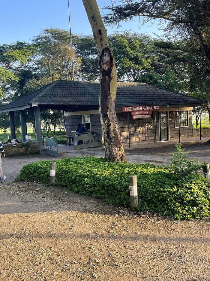 Nairobi: Lake Nakuru Park and Lake Naivasha Boat Ride - The long road from Nairobi to Lake Nakuru