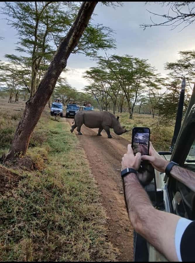 Nairobi: Lake Nakuru Park and Lake Naivasha Boat Ride - Wildlife and conservation at the Rhino Sanctuary