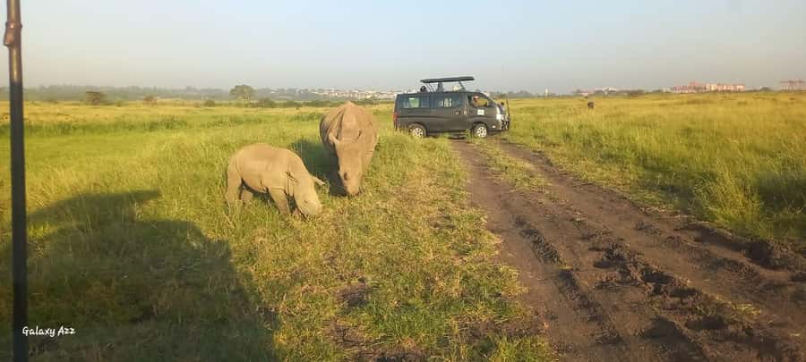 Nairobi:Nairobi national park,David sheldrick,GiraffeCenter - A five-hour tour with an unclear clock