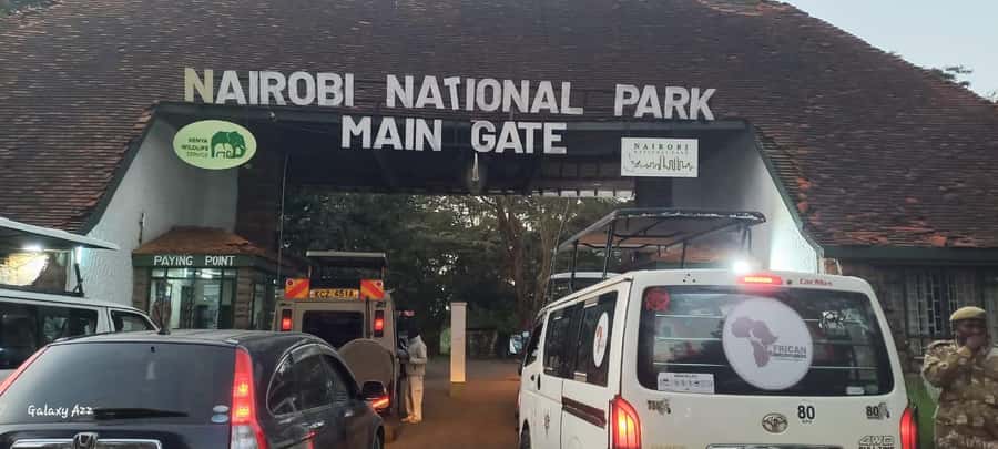 Nairobi:Nairobi national park,David sheldrick,GiraffeCenter - Who will get the most from this outing