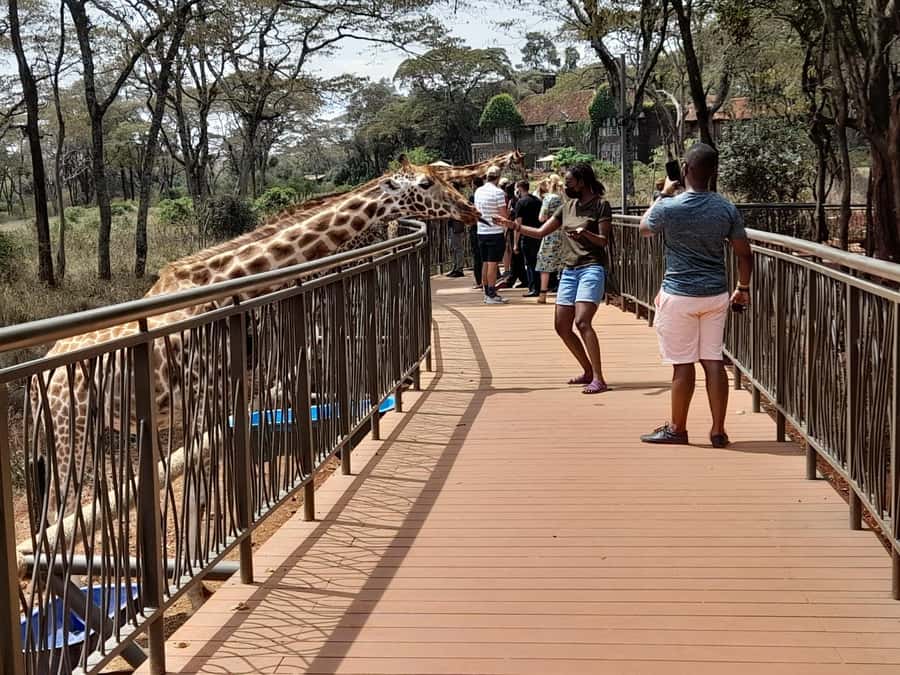 Nairobi:Nairobi national park,David sheldrick,GiraffeCenter - My practical verdict on the Nairobi wildlife combination
