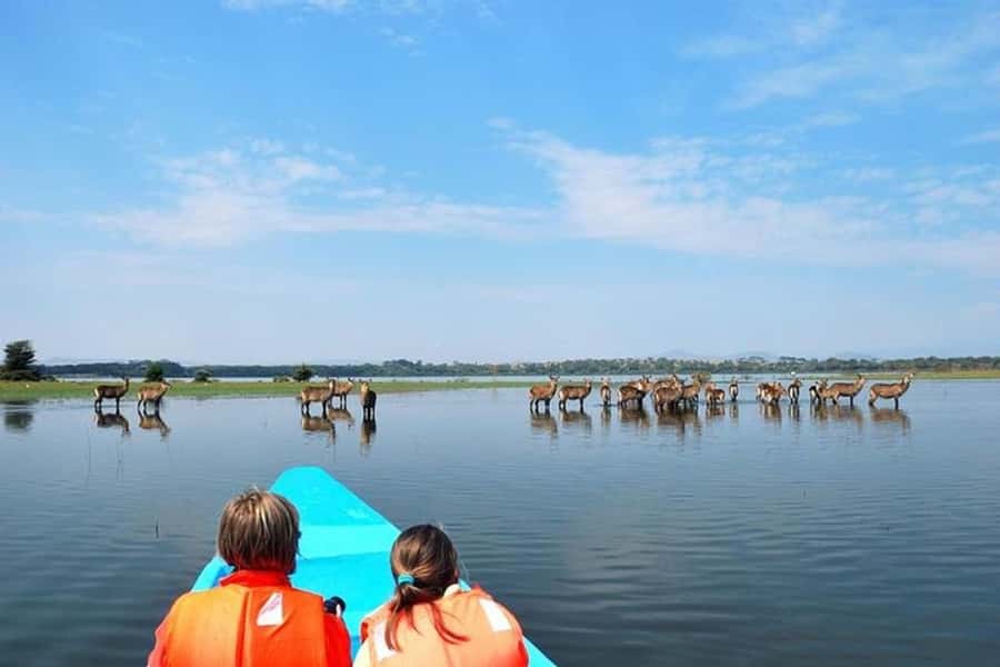 Nairobi: Nakuru National Park and Lake Naivasha Day Tour - Who should book this Nairobi day trip