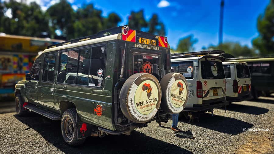 Nairobi National Park 5-hour Guided Game Drive Free Pick up - Who will get the most from this tour?