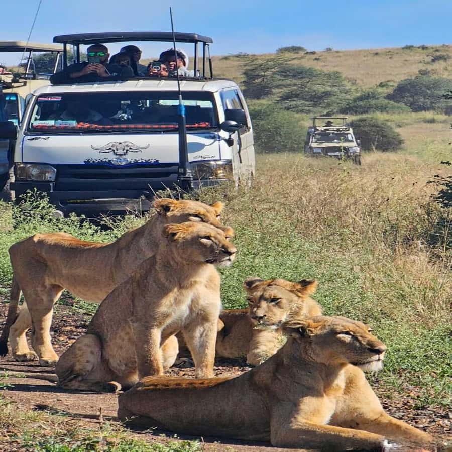 Nairobi National Park 5-hour Guided Game Drive Free Pick up - Pickup from central hotels and Westlands