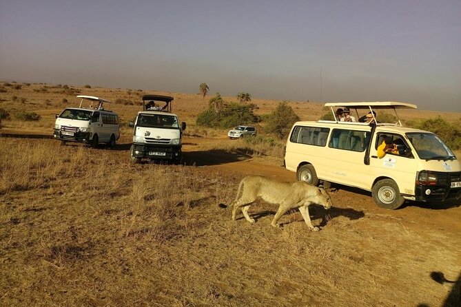Nairobi National Park 6 am Group Joining Game drive. - Why this Nairobi safari works so well for a short stay