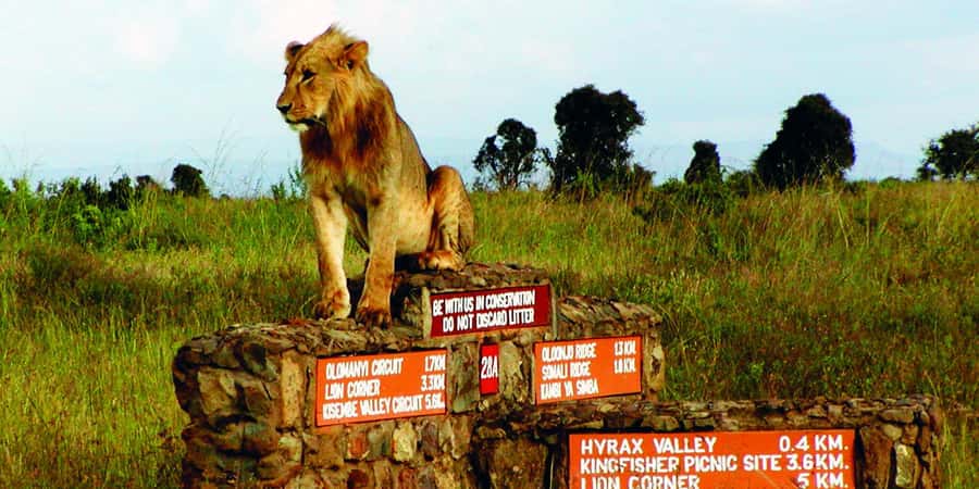 Nairobi National Park –Adventure at City’s Edge Free PickUp - Why this city safari works so well