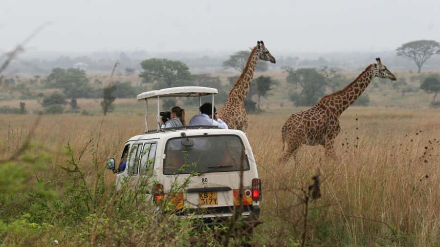 Nairobi National Park –Adventure at City’s Edge Free PickUp - Booking details worth confirming first