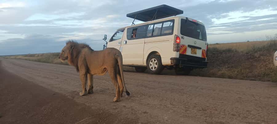 NAIROBI NATIONAL PARK AFTERNOON GAME DRIVE. - Starting from seven Nairobi pickup areas