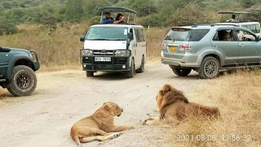 Nairobi national park and elephant orphanage - Why Nairobi National Park makes a strong first stop