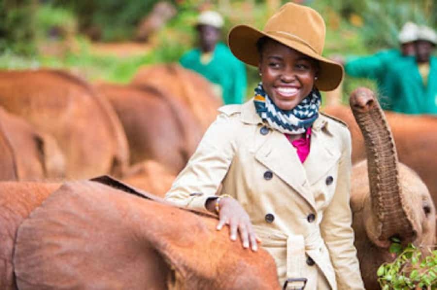 Nairobi national park and elephant orphanage - The 10:30 visit to the David Sheldrick Wildlife Trust
