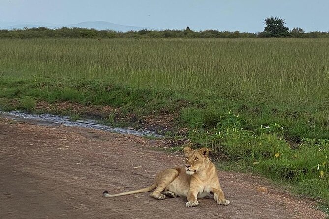 Nairobi national park and Giraffe center - Nairobi National Park: a real safari near the city