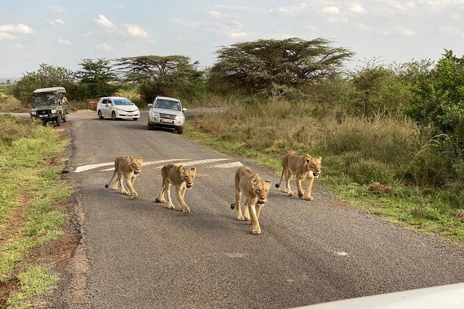 Nairobi national park and Giraffe center - How the eight-hour schedule works