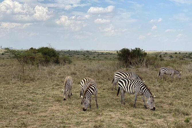 Nairobi national park and Giraffe center - Who will enjoy this Nairobi combination most